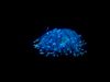 EP: 177 Could Taking This “Super Pill” Actually Level-Up Your Quality of Life? With James Schmactenberger of Neurohacker Collective
