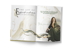 artofexperience book