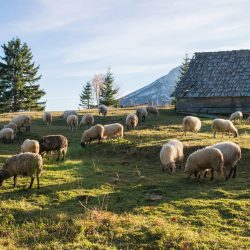 getty-images-gupUpELgRGo-unsplash